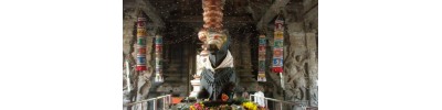 232. திருப்பாதிரிப் புலியூர்